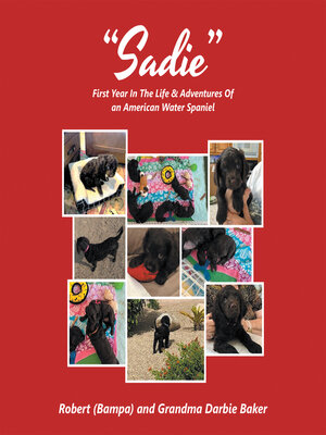 cover image of "Sadie"